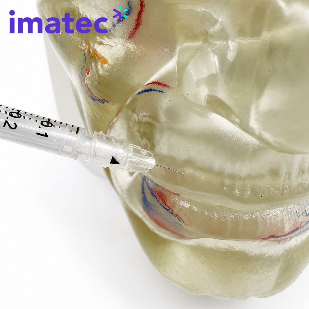 Transparent Facial Injection Training Model by Imatec Medical