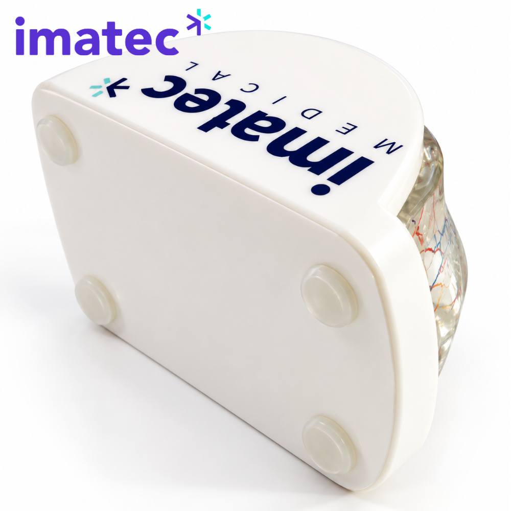 Transparent Facial Injection Training Model by Imatec Medical