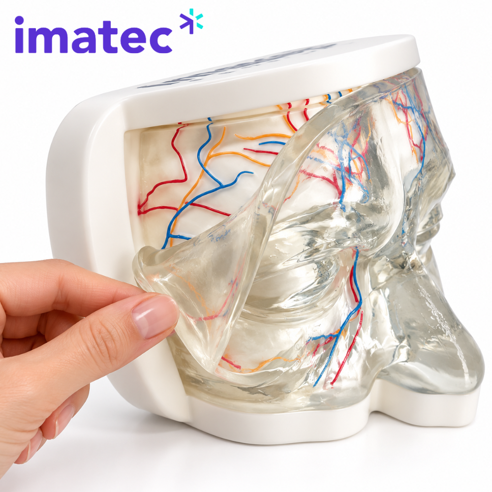 Transparent Facial Injection Training Model by Imatec Medical