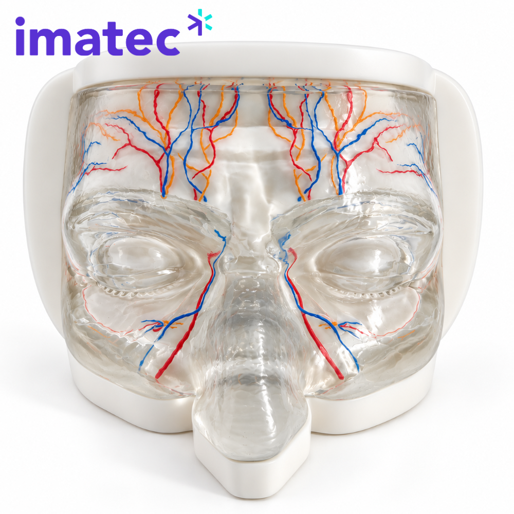 Transparent Facial Injection Training Model by Imatec Medical
