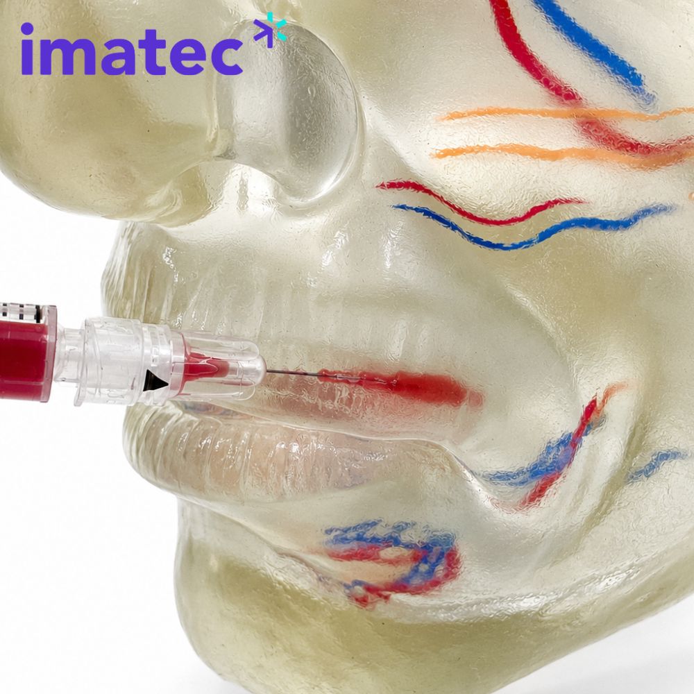 Transparent Facial Injection Training Model by Imatec Medical