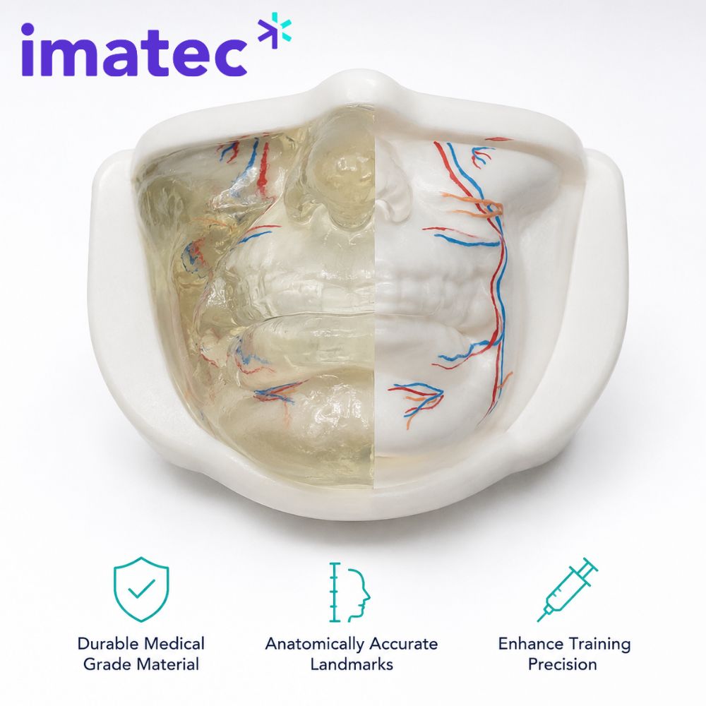 Transparent Facial Injection Training Model by Imatec Medical