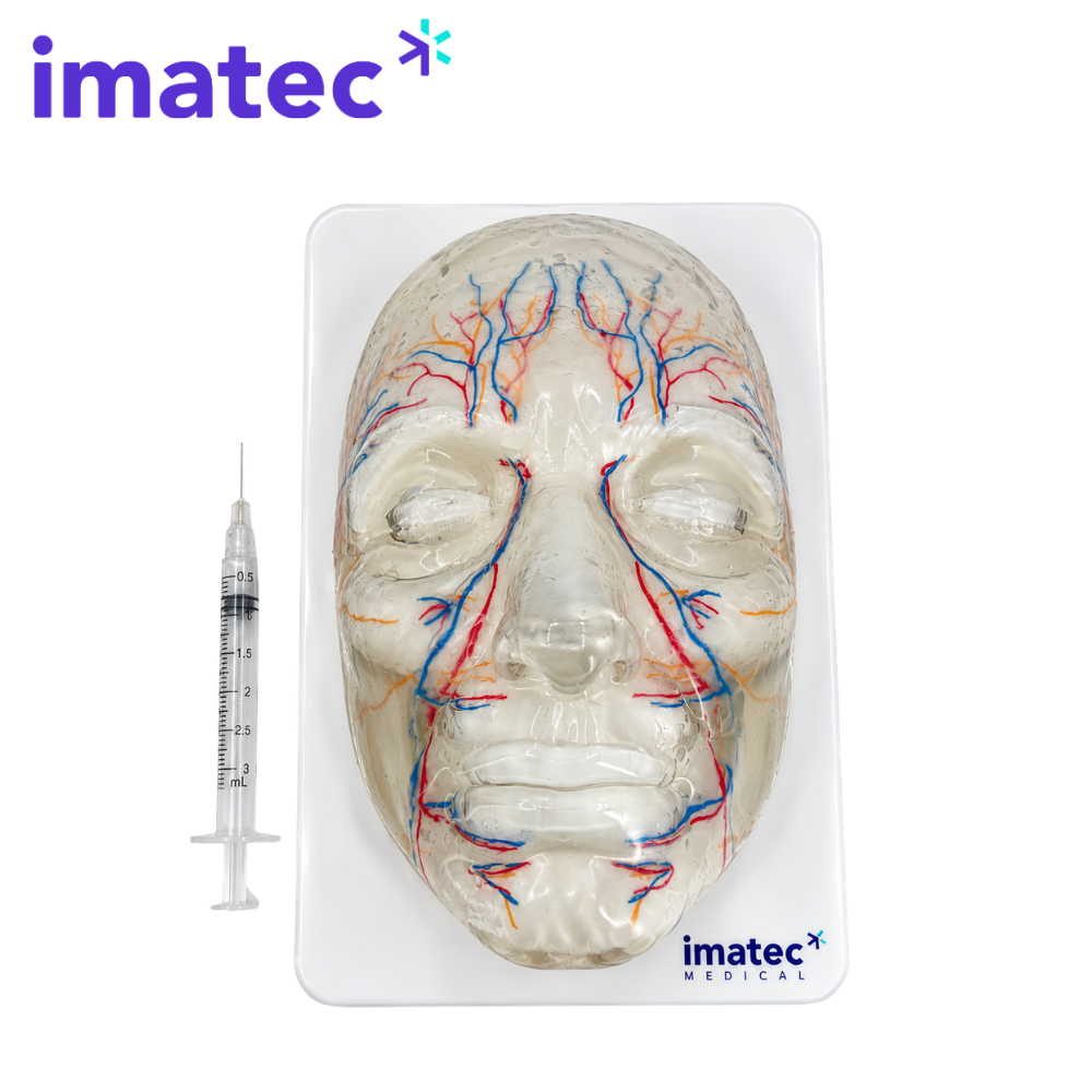 Transparent Facial Injection Training Model by Imatec Medical