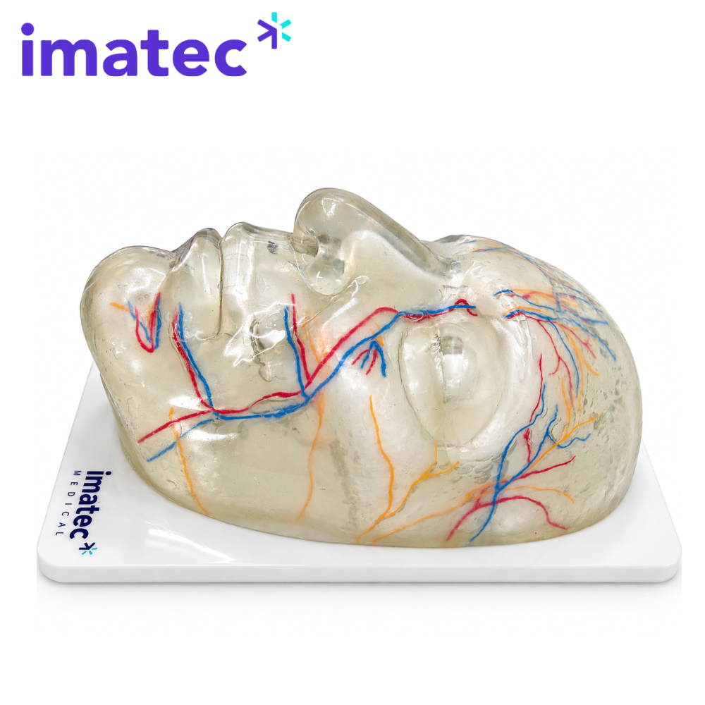 Transparent Facial Injection Training Model by Imatec Medical