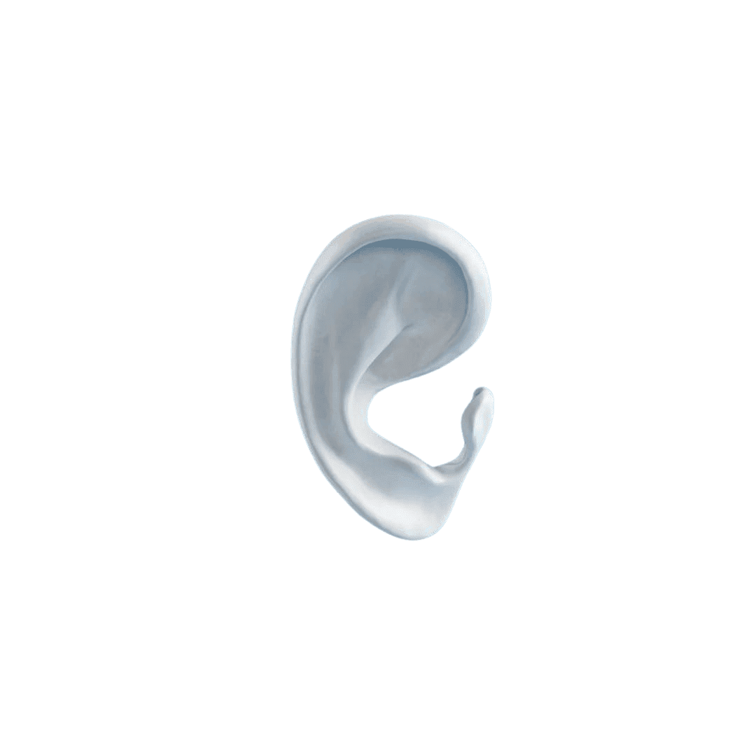 Implantech ePTFE Auricular Implants