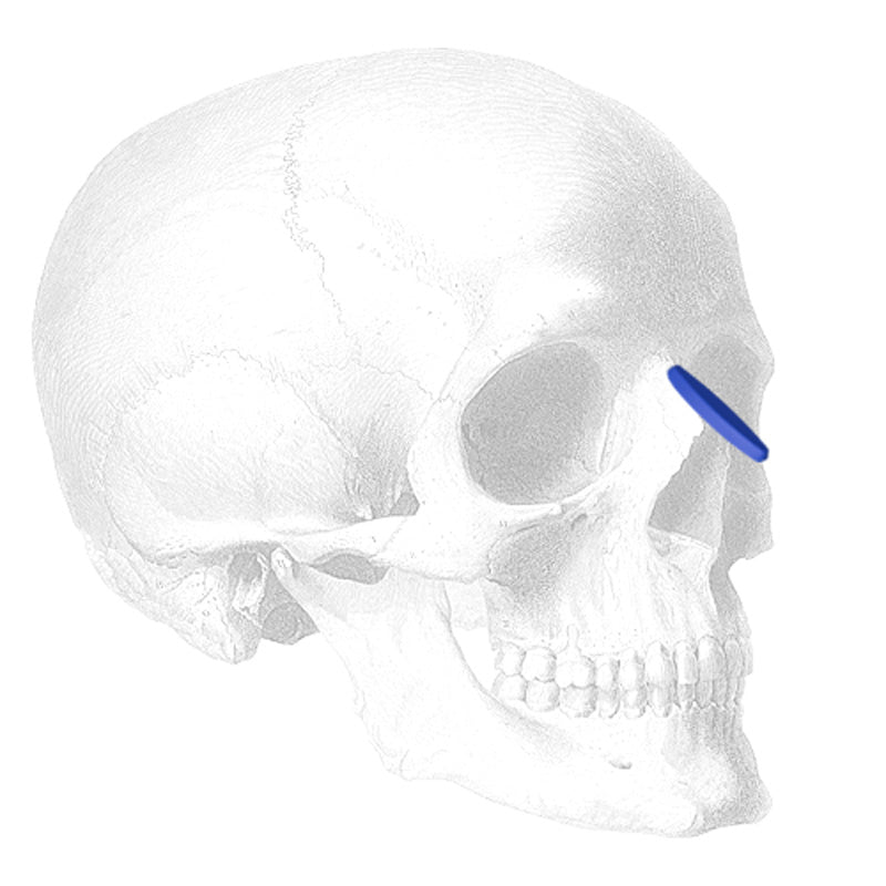 Implantech ePTFE Nasal Dorsum (Rounded) Implant