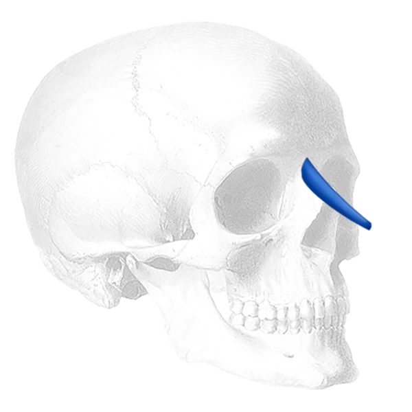 Implantech Rizzo Dorsal Nasal Implant