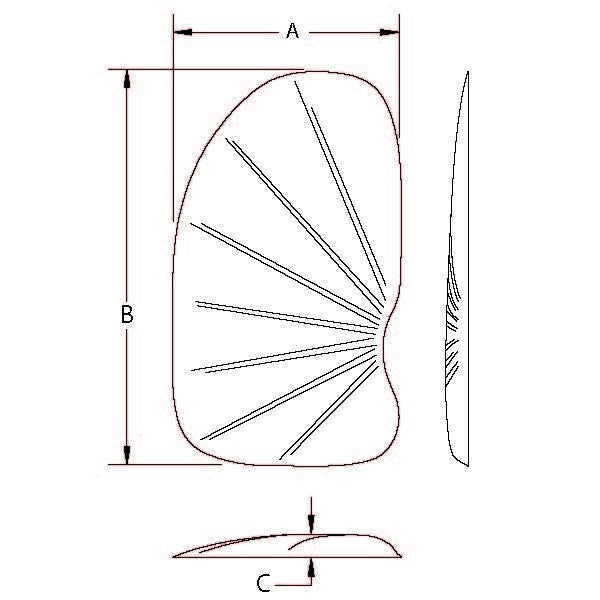 Implantech Extended Temporal Shell Facial Implant