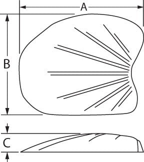Implantech Temporal Shell Facial Implant