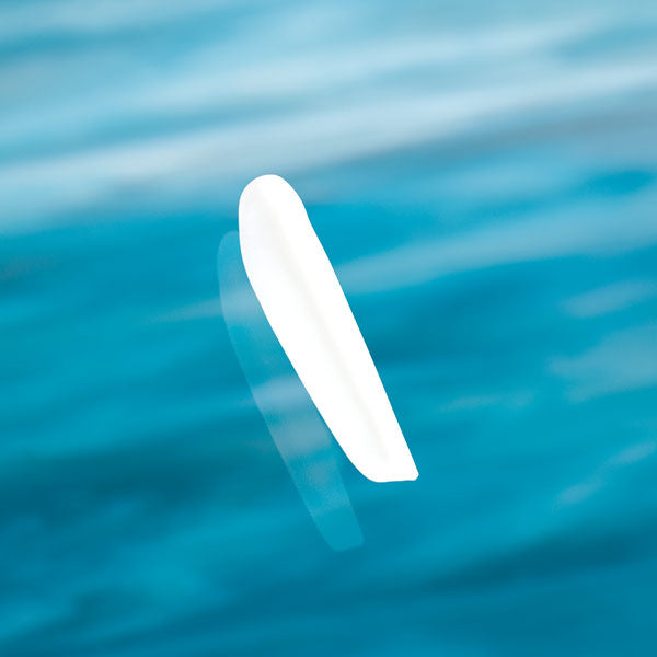 Implantech ePTFE-Coated Flowers Dorsal Nasal Implant